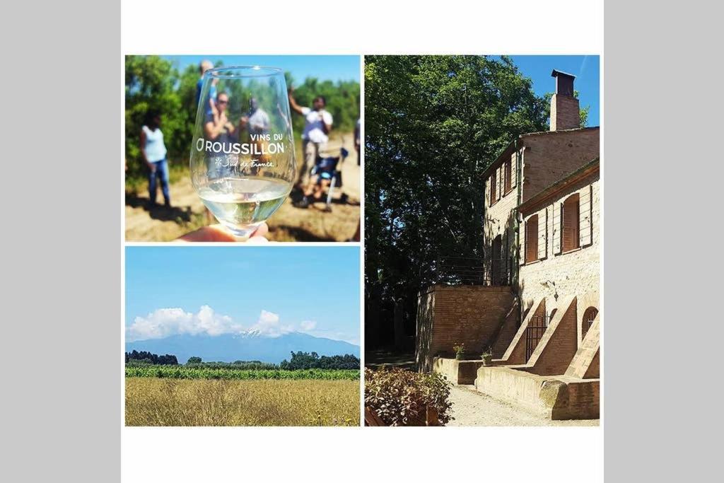 Gite De Charme Du Domaine Pagnon Guillemette Torreilles Luaran gambar