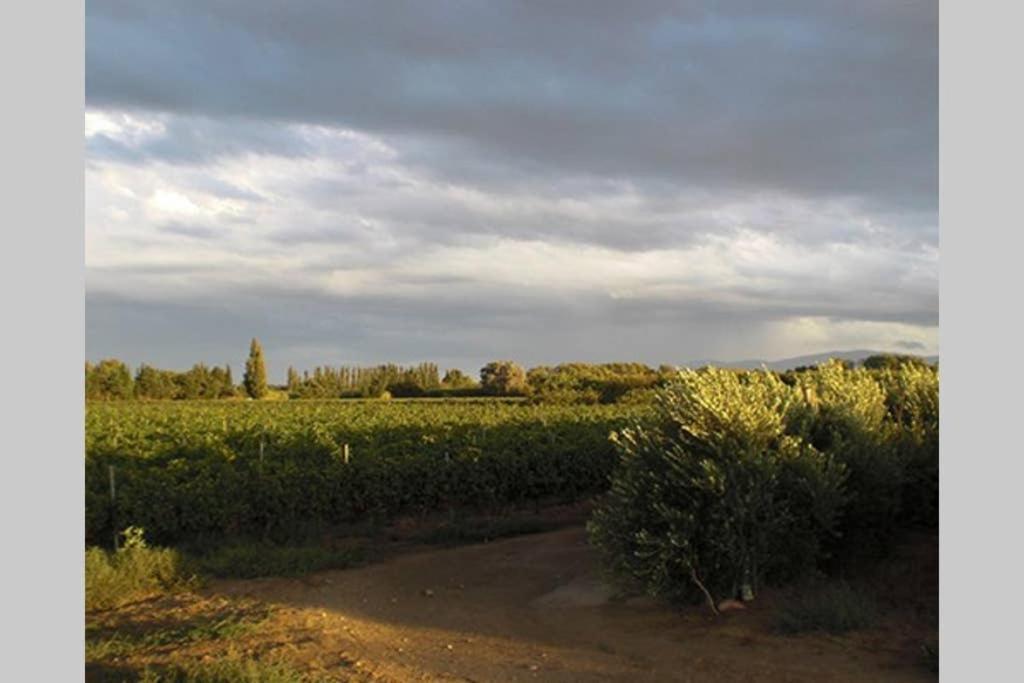 Gite De Charme Du Domaine Pagnon Guillemette Torreilles Luaran gambar